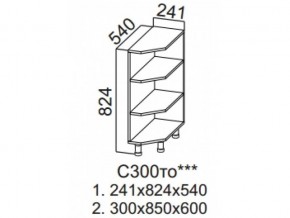 С300то Стол-рабочий 300 (торцевой открытый) в Талице - talica.магазин96.com | фото