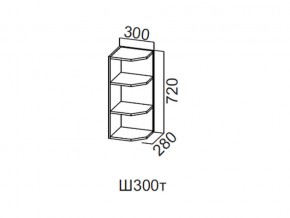 Ш300т/720 Шкаф навесной 300/720 (торцевой) в Талице - talica.магазин96.com | фото