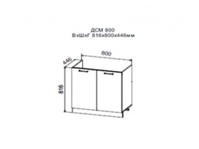 Шкаф нижний ДСМ800 под мойку в Талице - talica.магазин96.com | фото