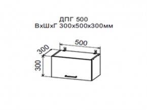 Шкаф верхний ДПГ500 горизонтальный в Талице - talica.магазин96.com | фото