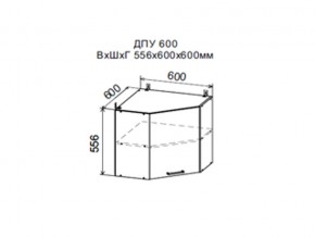 Шкаф верхний ДПУ600 угловой в Талице - talica.магазин96.com | фото